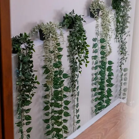 Hotel Dream Near Taksim 3*